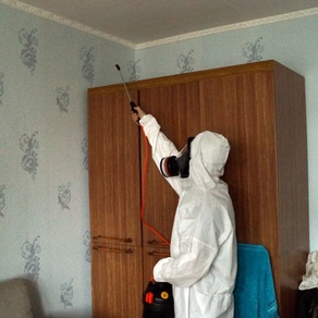 Борьба с клопами в домашних условиях – Киров