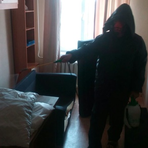 Уничтожение тараканов в квартире с гарантией в Кирове