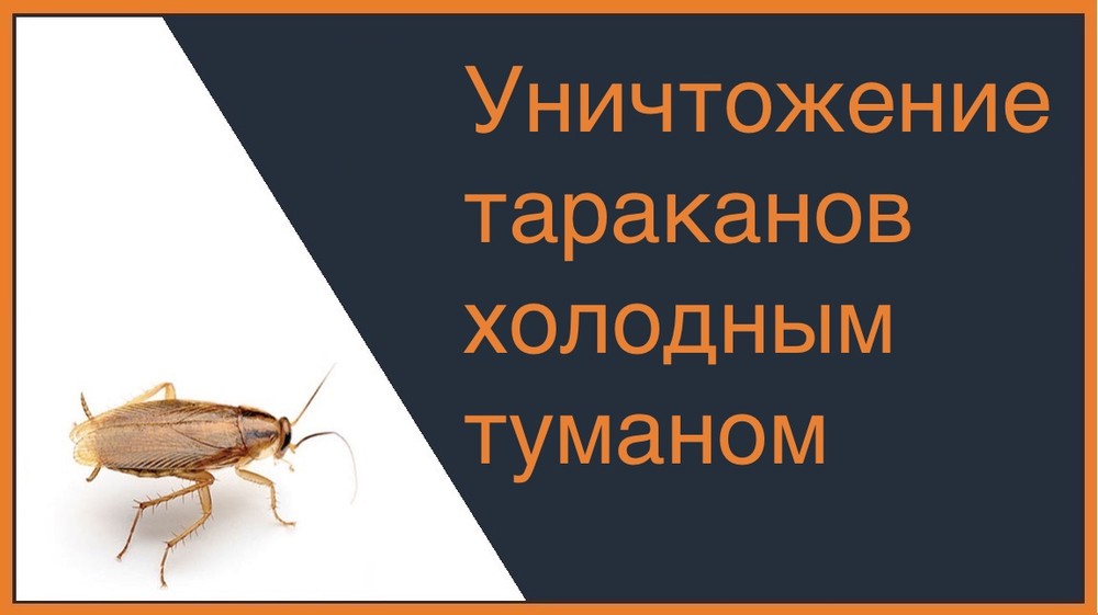 Уничтожение тараканов холодным туманом в Кирове