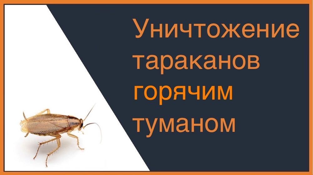 Уничтожение тараканов горячим туманом в Кирове